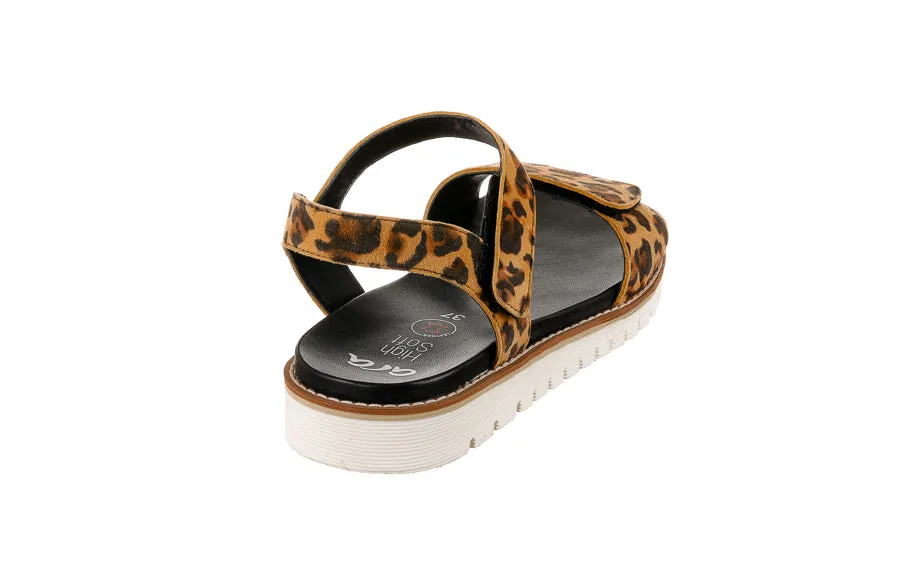 Ara Draco Leopard