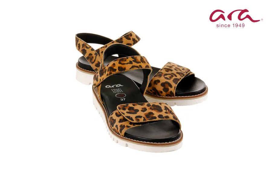 Ara Draco Leopard