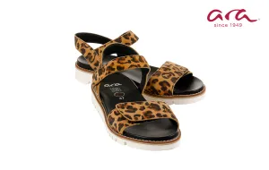 Ara Draco Leopard