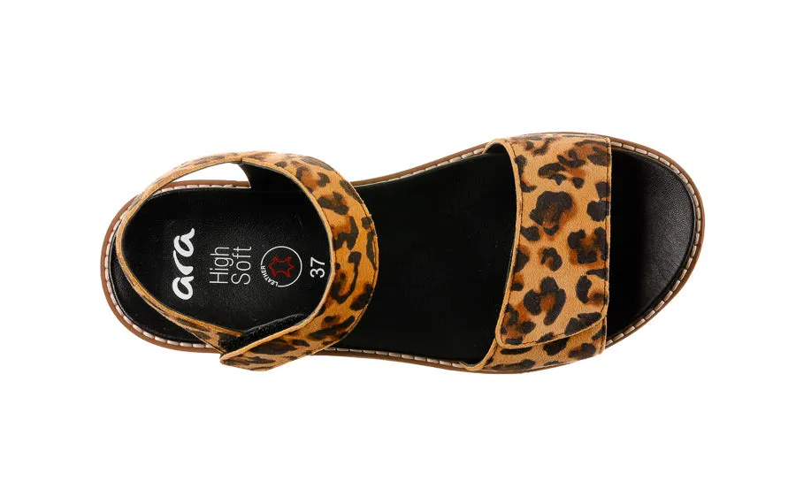 Ara Draco Leopard