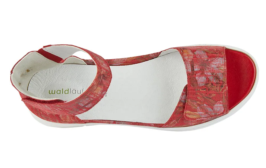 Wal Coast Red